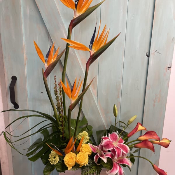 Tall tropical arrangement with orange bird-of-paradise, pink lilies, and yellow roses in a low container.