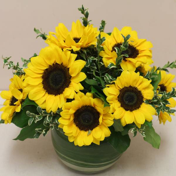 sunny sunflowers