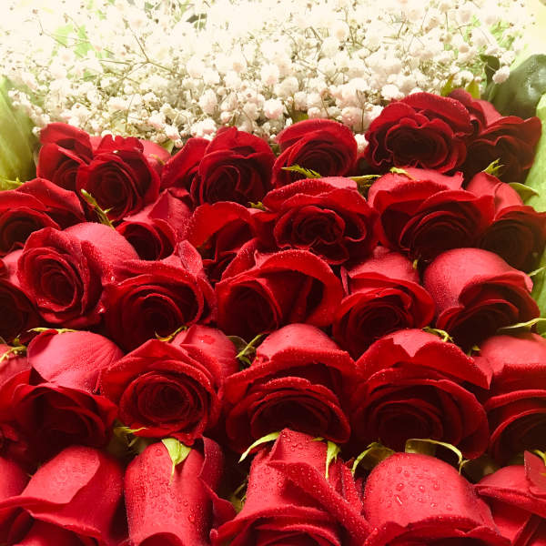 Red 24: 24 Long stem Red Roses