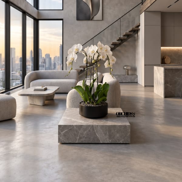 White orchid plant in a black pot on a marble table in a modern living room
