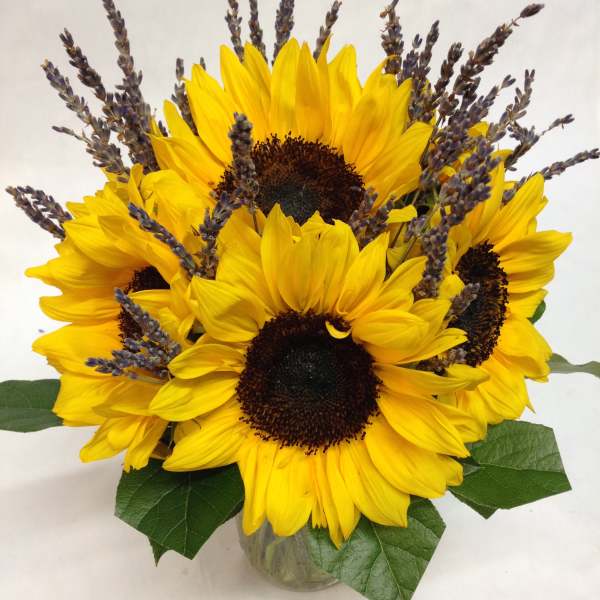 Bright yellow sunflower arrangement with lavender sprigs in a clear glass vase.