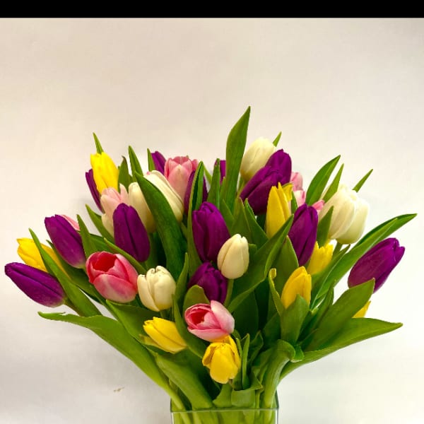 Arrangement of purple, yellow, white, and pink tulips in a clear square glass vase