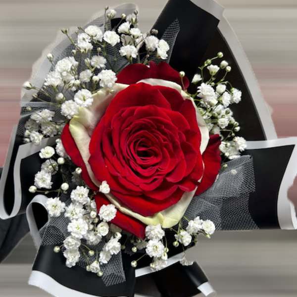 Red rose bouquet with white baby's breath and black-and-white wrapping