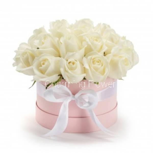 White roses arranged in a pink round box with a white ribbon
