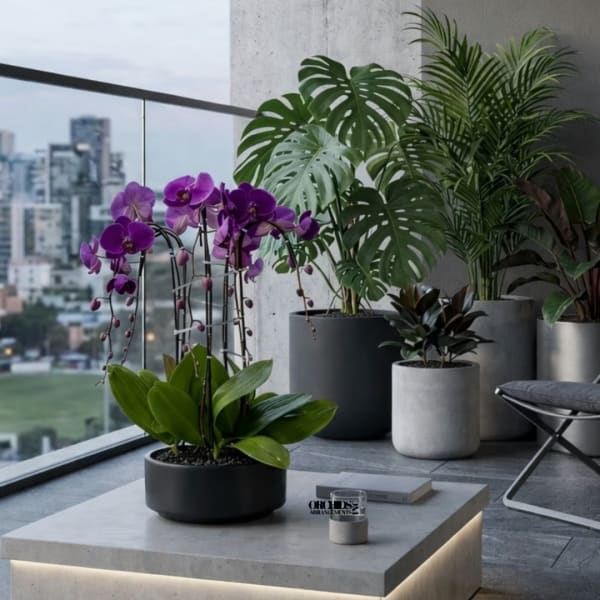 Potted purple orchids and tropical houseplants on a balcony