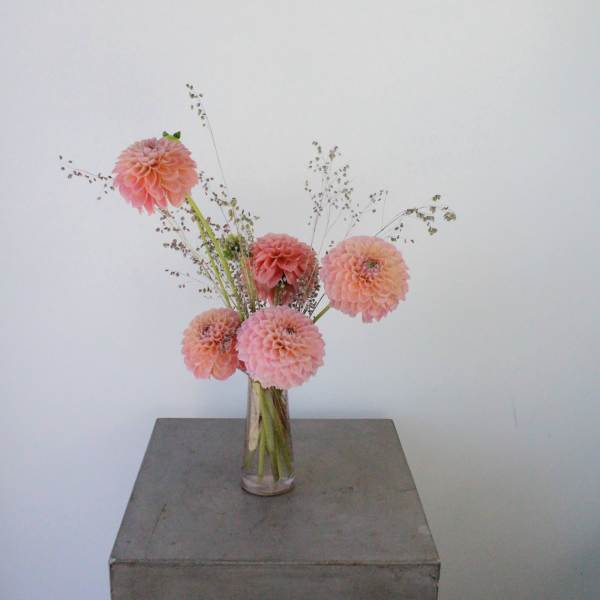 Dahlia Bud Vase