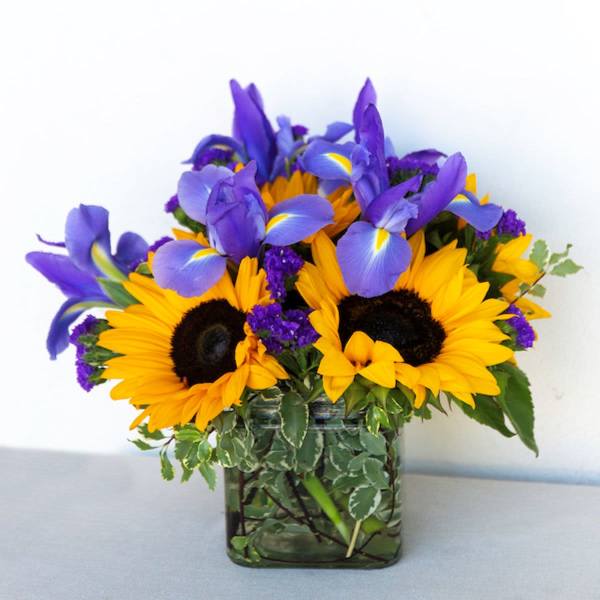Sunflowers and purple irises in a square glass vase