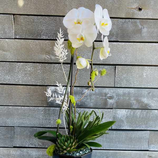White orchid arrangement in a black vase with green accents