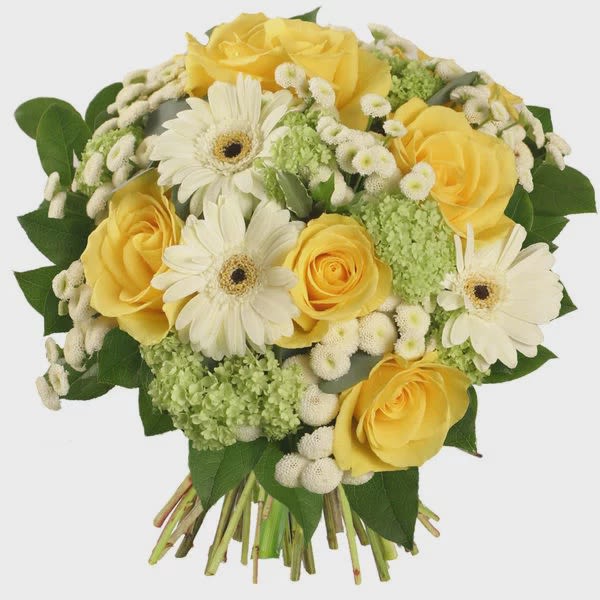 Bouquet of yellow roses and white daisies with green filler