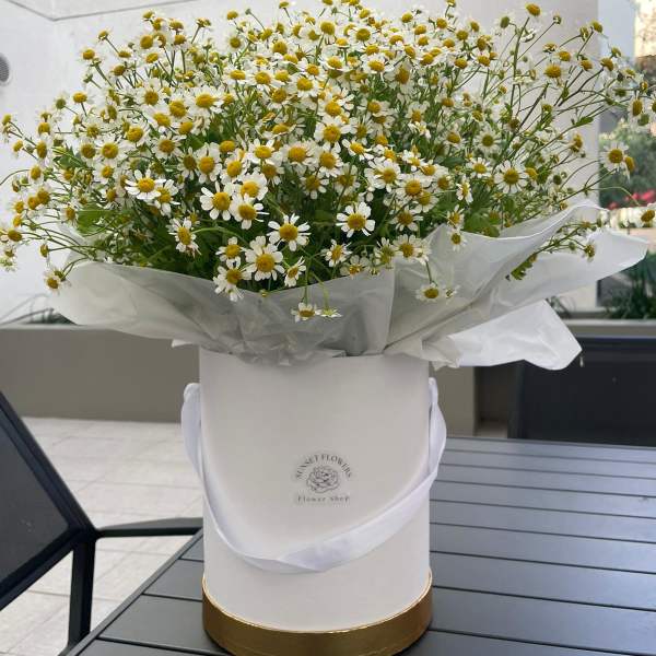 Bouquet of small white daisies with yellow centers in a white hat box