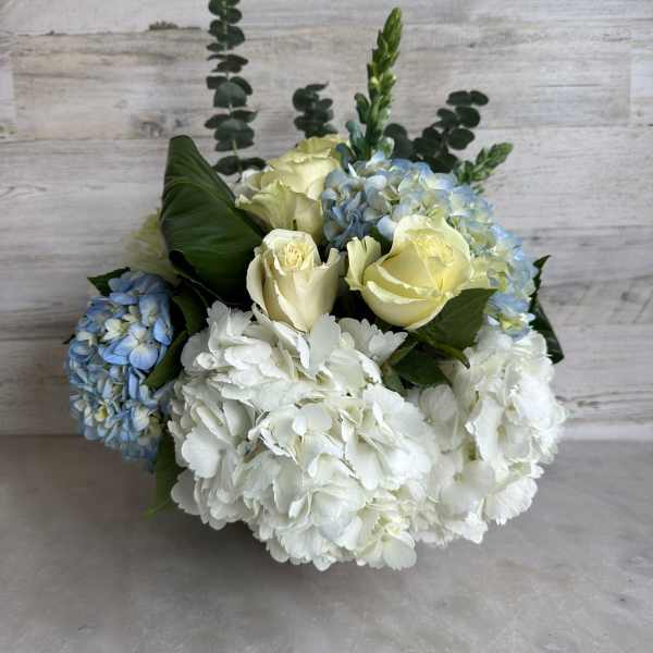 BLUE PETIT