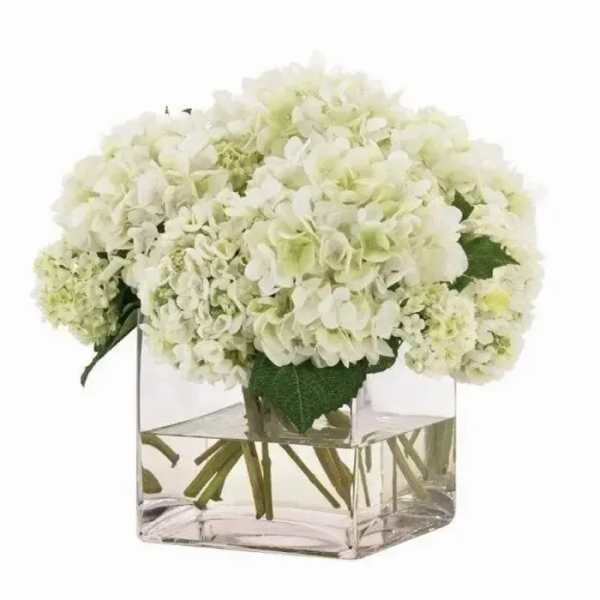 Compact arrangement of white hydrangeas in a clear glass cube vase with visible stems in water