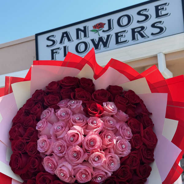 Large bouquet of pink and red roses wrapped in red and white paper