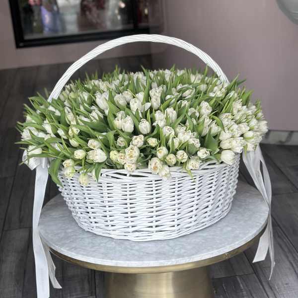 White tulips arranged in a white wicker basket with ribbon handles