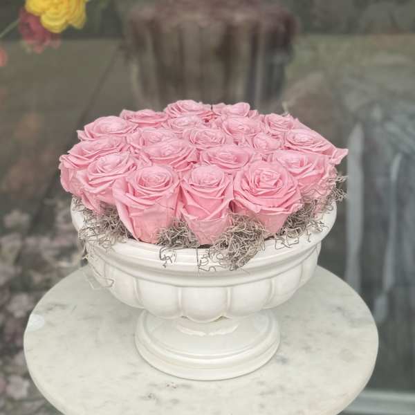 Pink Eternal Roses in Classic