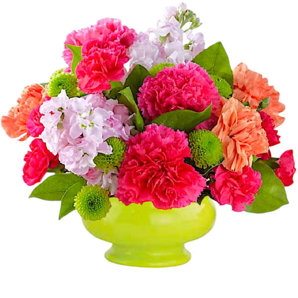 Bright mixed bouquet of carnations and stock in a lime green vase