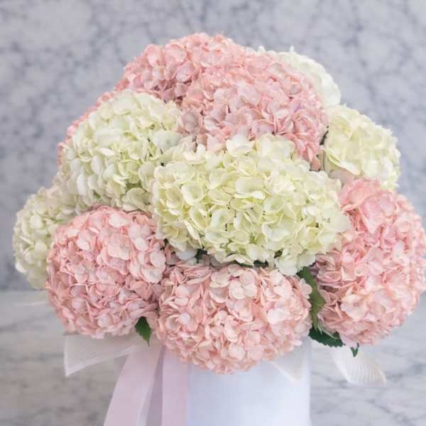 Blush Marble Elegance