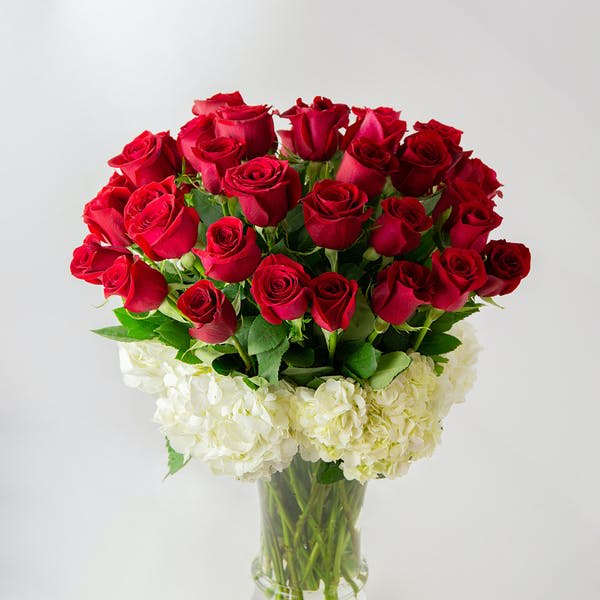 Red roses arranged in a clear glass vase with white hydrangeas
