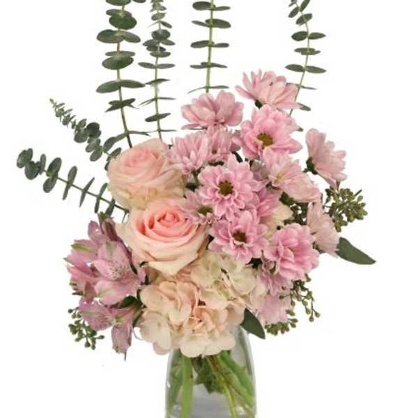 Pink Posy