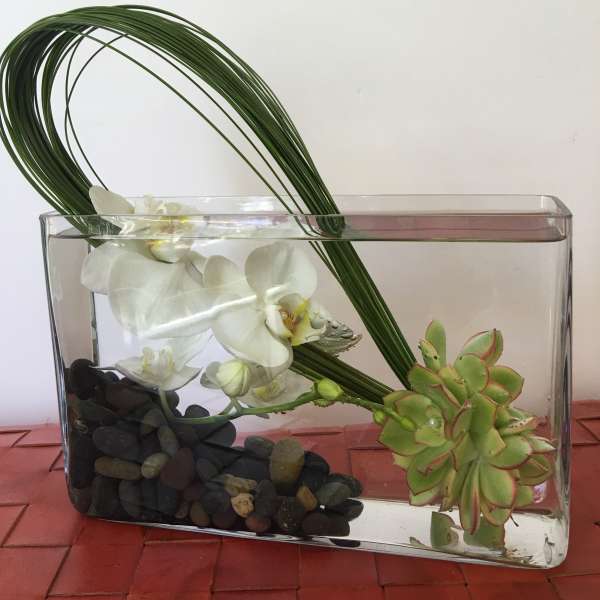 Glass vase with white orchids, succulents, and curved green stems