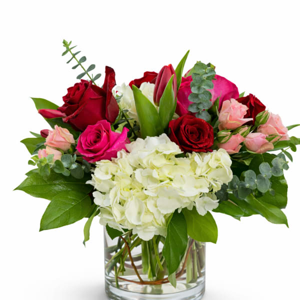 Bouquet of red and pink roses with white hydrangea in a glass vase