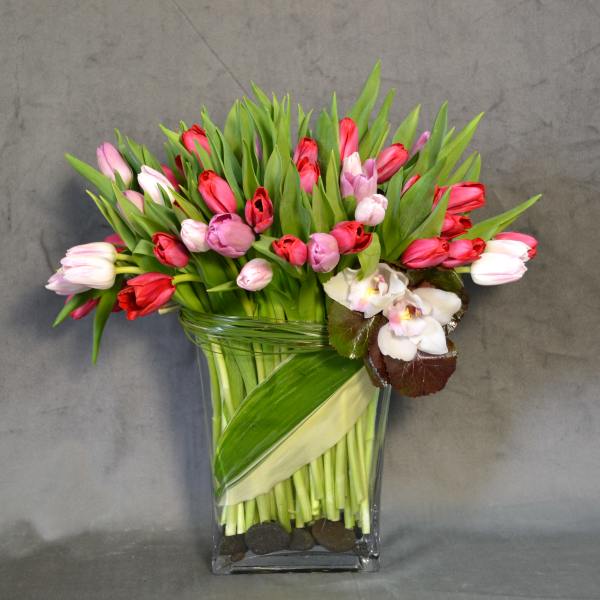 Paradise of Tulips