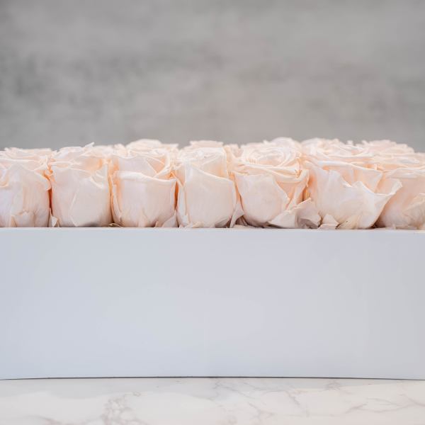 Blush Roses in white rectangle