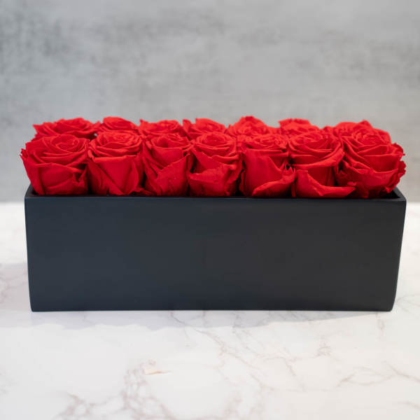 Red Preserved Roses in black ceramic rectangle