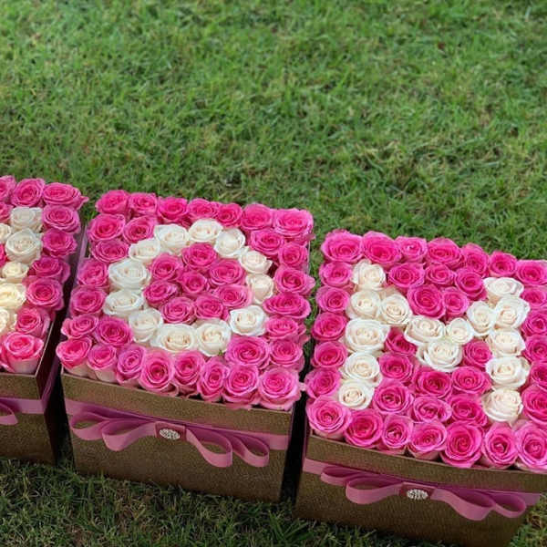 Three square boxes of pink and white roses arranged on grass