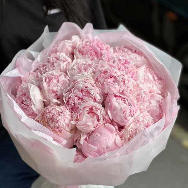 Bouquet of pale pink peonies wrapped in white paper