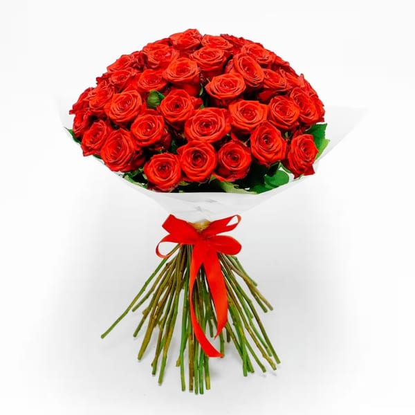 Bouquet of red roses wrapped in white paper with a red ribbon
