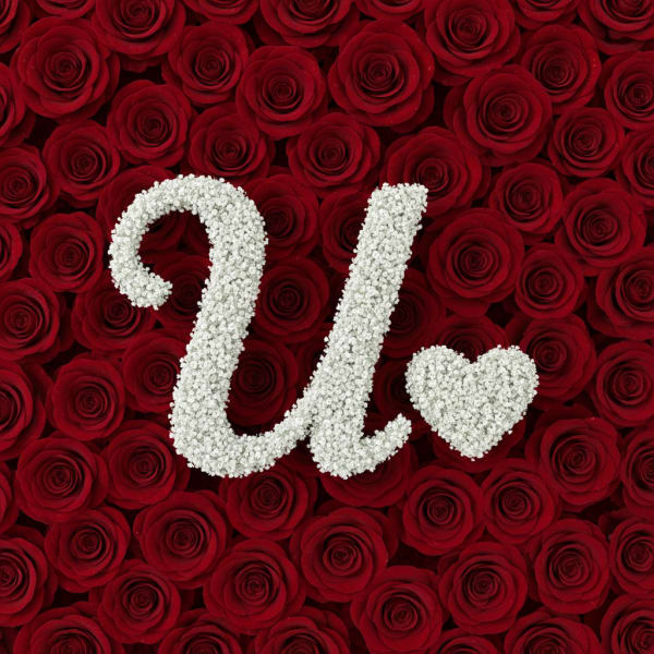 Baby's Breath Letter - U