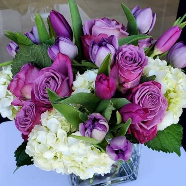 Compact arrangement of purple roses and tulips with white hydrangeas in a clear glass cube vase