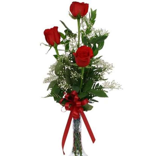 Trio Rose