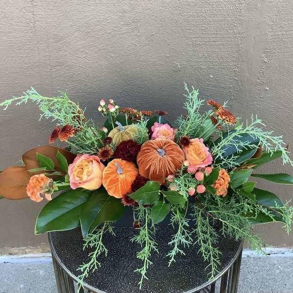 Fall Gathering