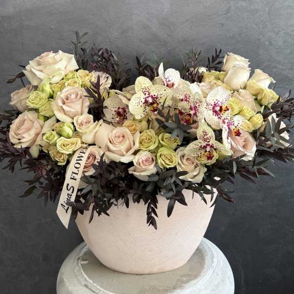 Cream roses and spotted orchids in a round blush vase