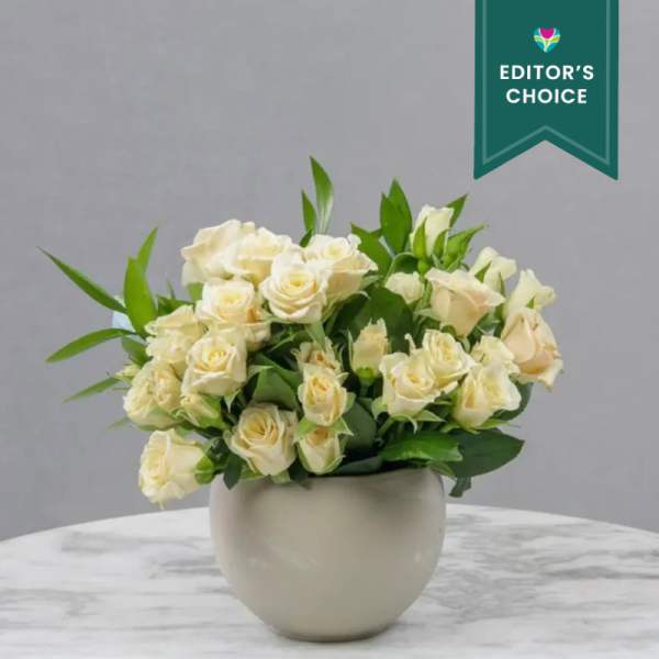 Cream roses arranged in a white vase