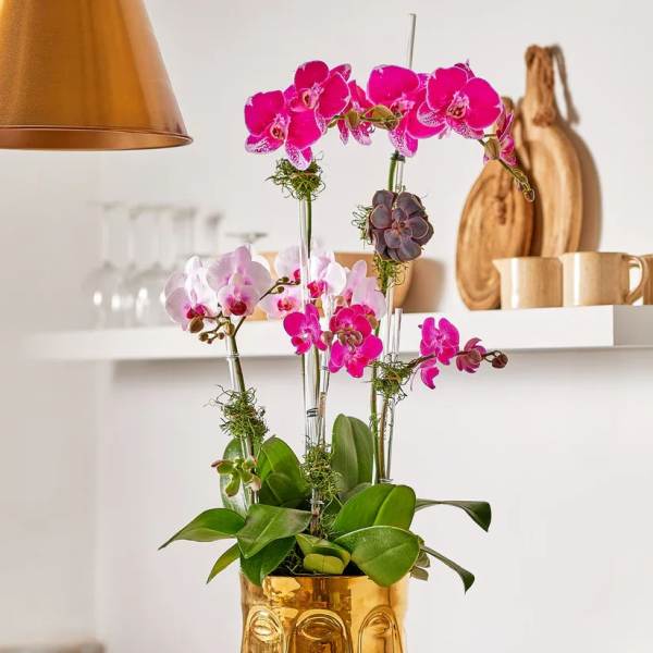 Pink orchids arranged in a gold face-shaped vase