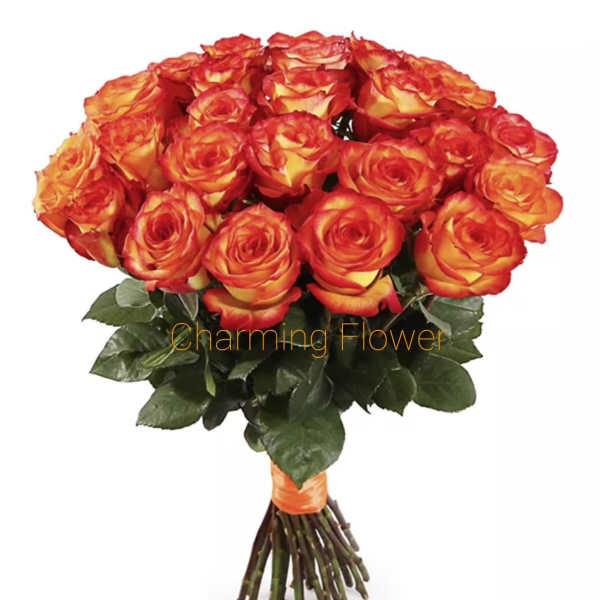 Bouquet of orange and yellow roses with dark green foliage