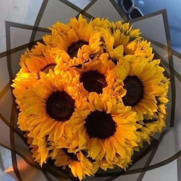 Bouquet of bright yellow sunflowers wrapped in dark paper