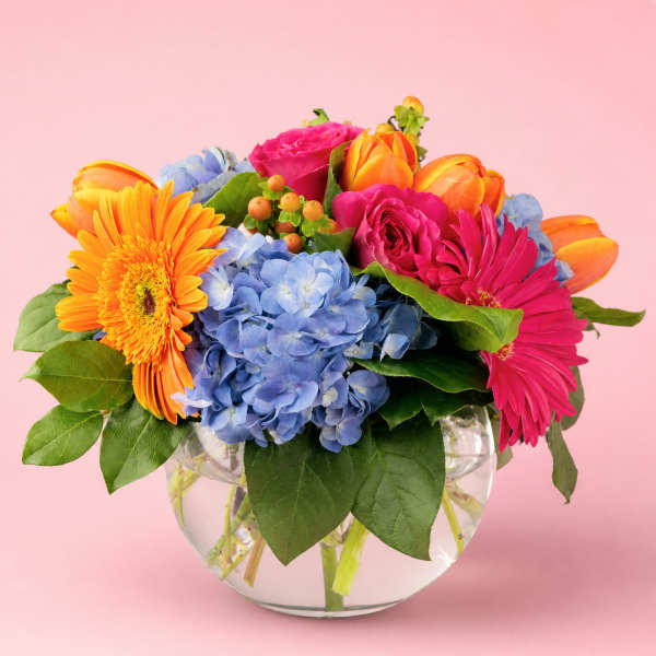Colorful mixed bouquet in a clear glass vase with blue hydrangeas and bright gerberas