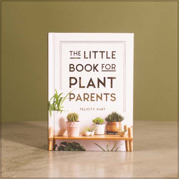 A book titled "The Little Book for Plant Parents" standing on a table