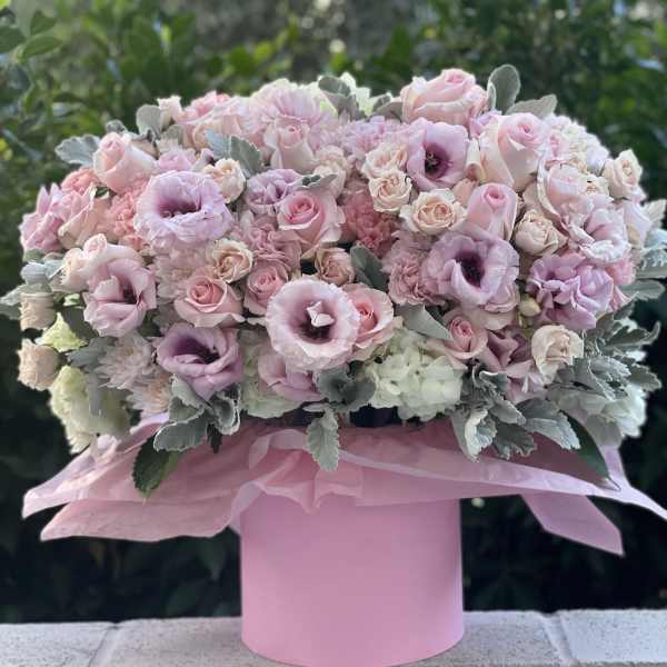 Pink Dream box