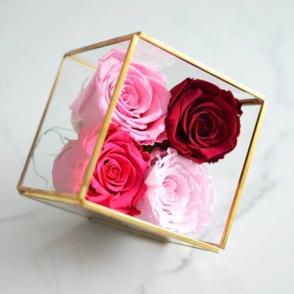Four roses in a gold geometric glass box
