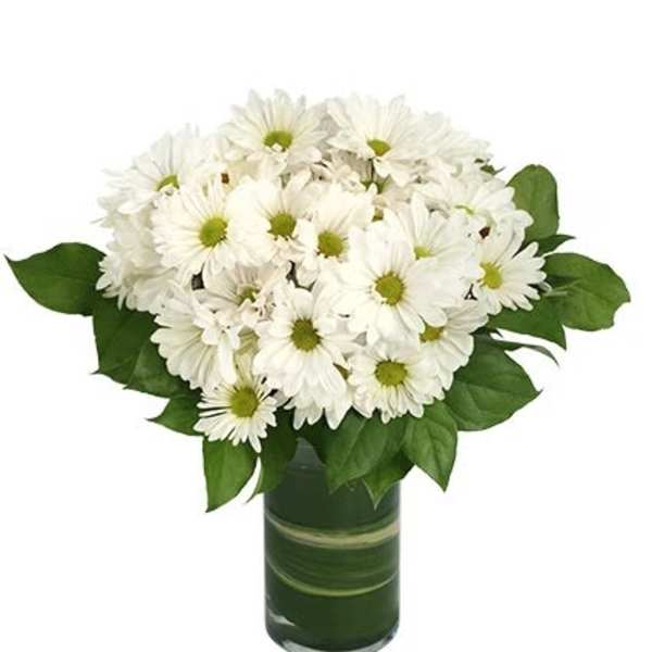 White daisy bouquet in a green glass vase