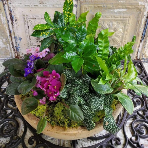 Mixed potted plants with pink and purple flowers in a shallow bowl