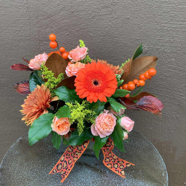 Autumn Beauty