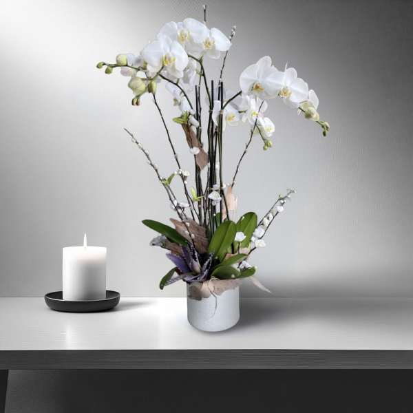 White orchid arrangement in a white vase beside a lit candle