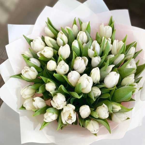Bouquet of white tulips wrapped in pale paper