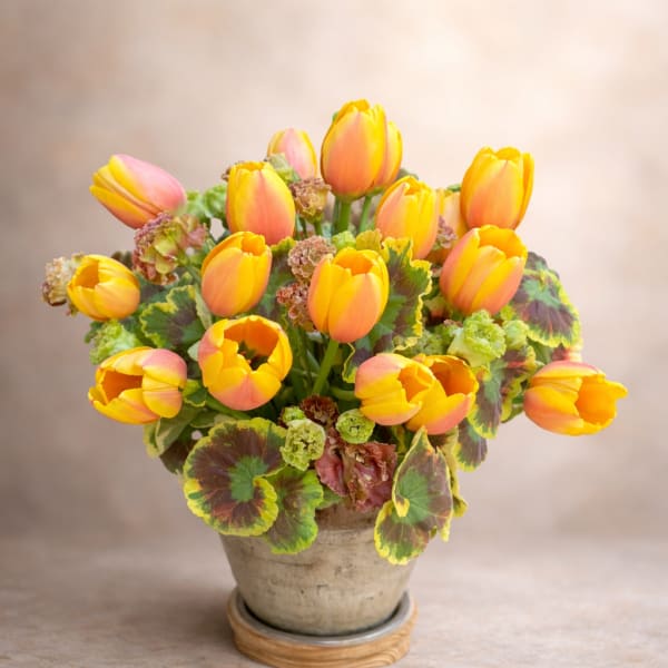 Potted arrangement of yellow and pink tulips in a ceramic pot